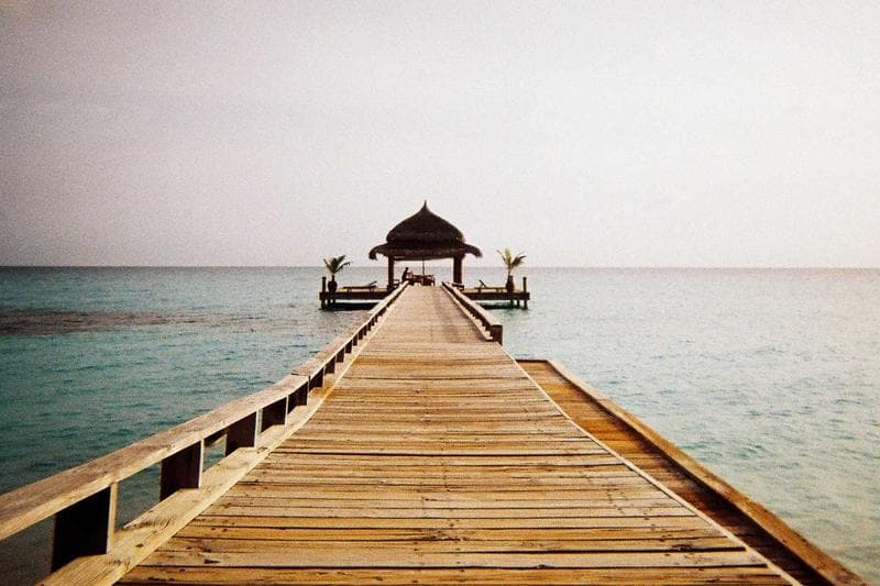 Riflinguri Decorative Perete – foto 3